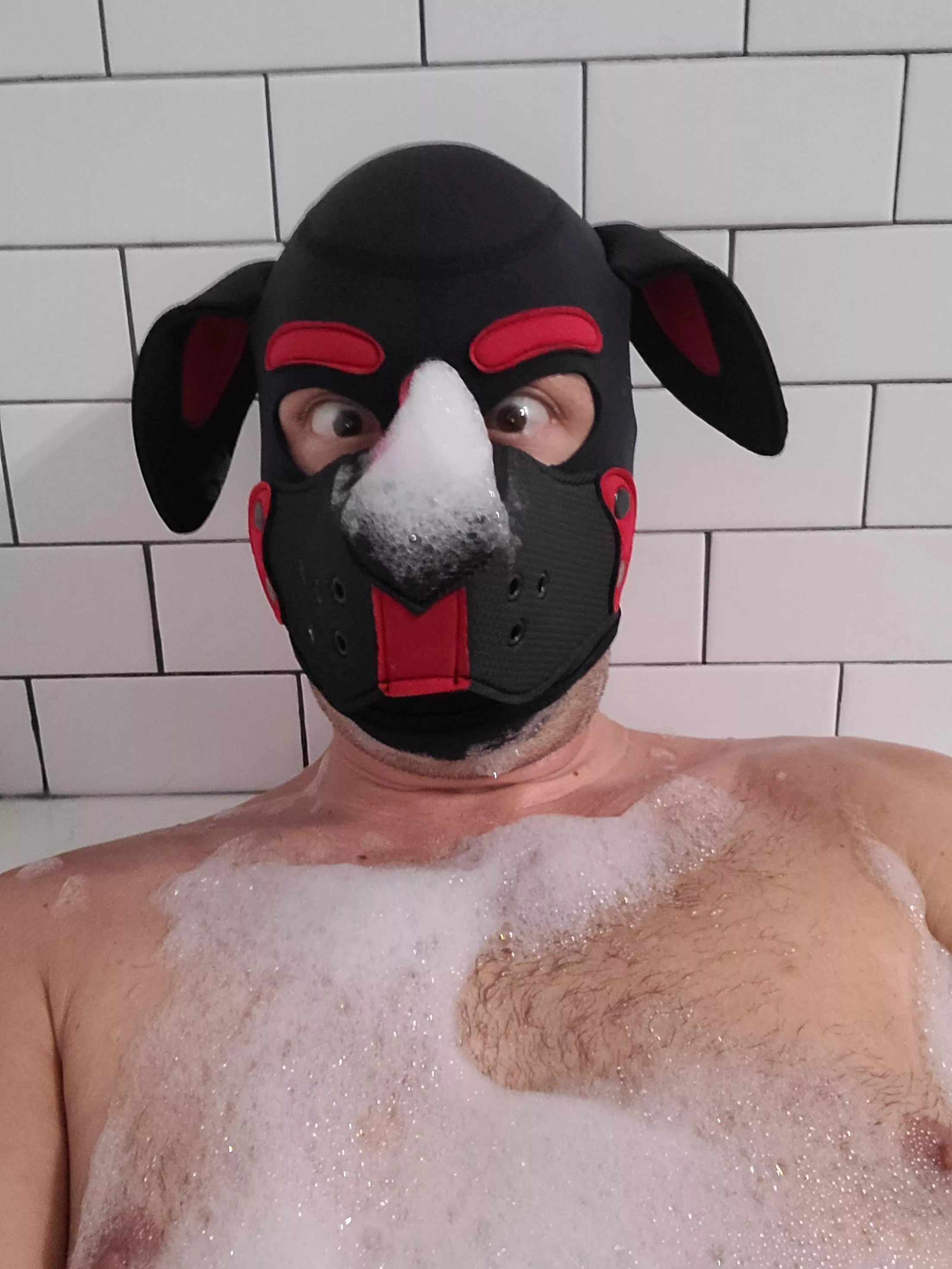 What Dis?! Bathtime Fun with Puppers!