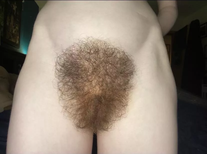 What do you think of my bush?