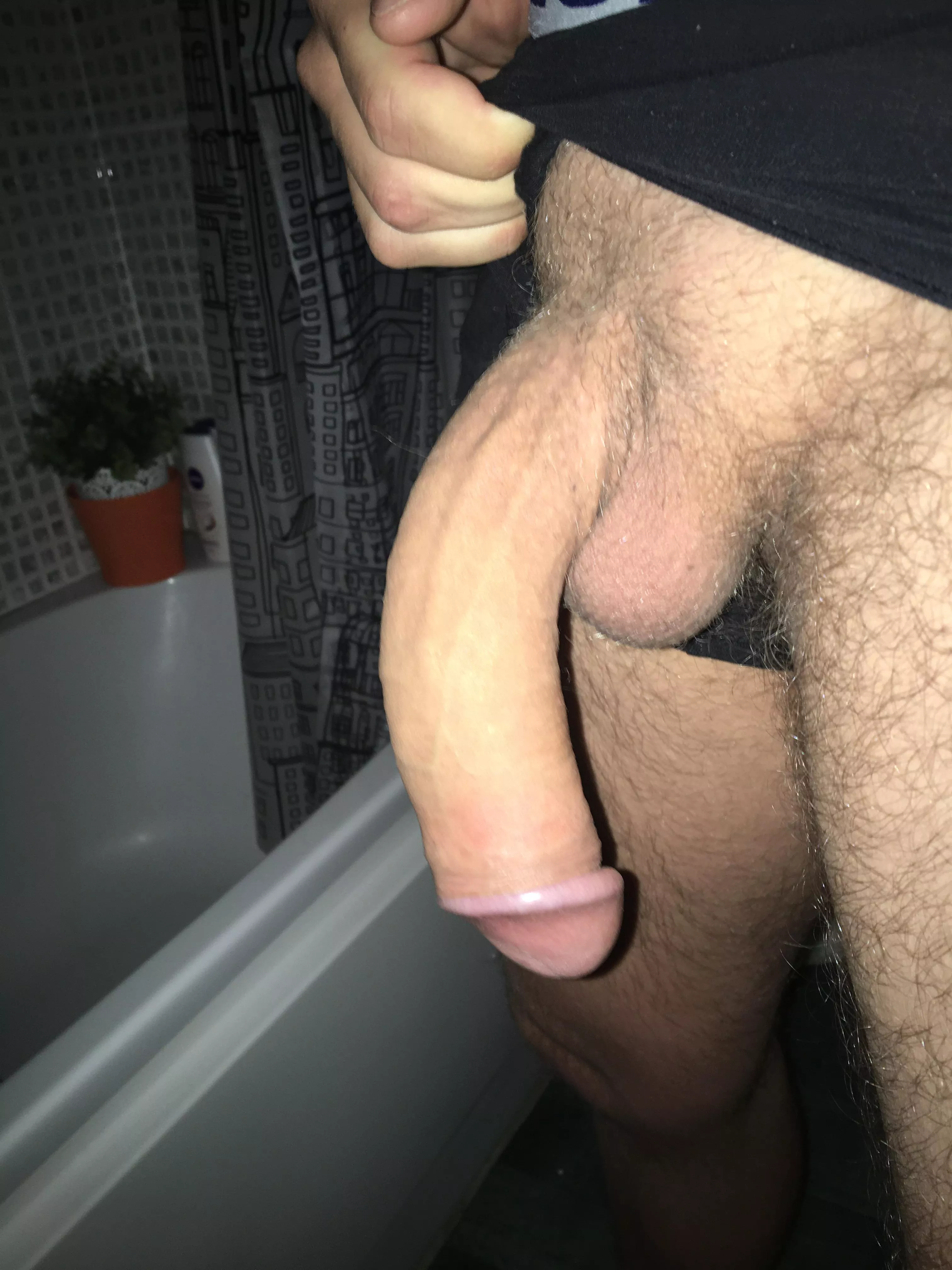 What do you think of my curve?