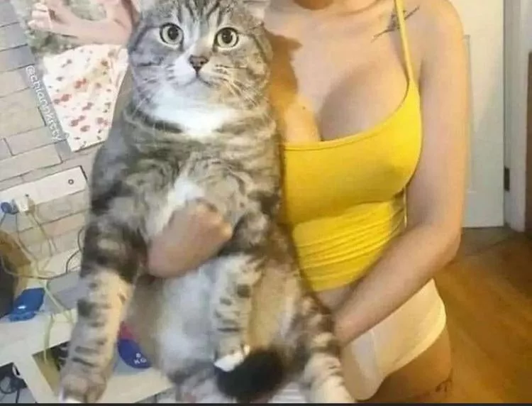 What is she hiding behind that pussy?