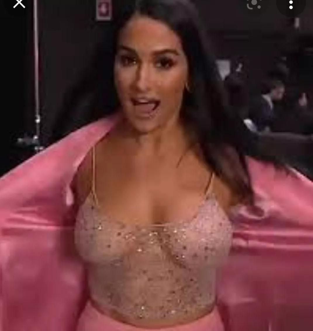 What show is this from where Nikki shows her huge tits off?? Does anyone have a link with audio?