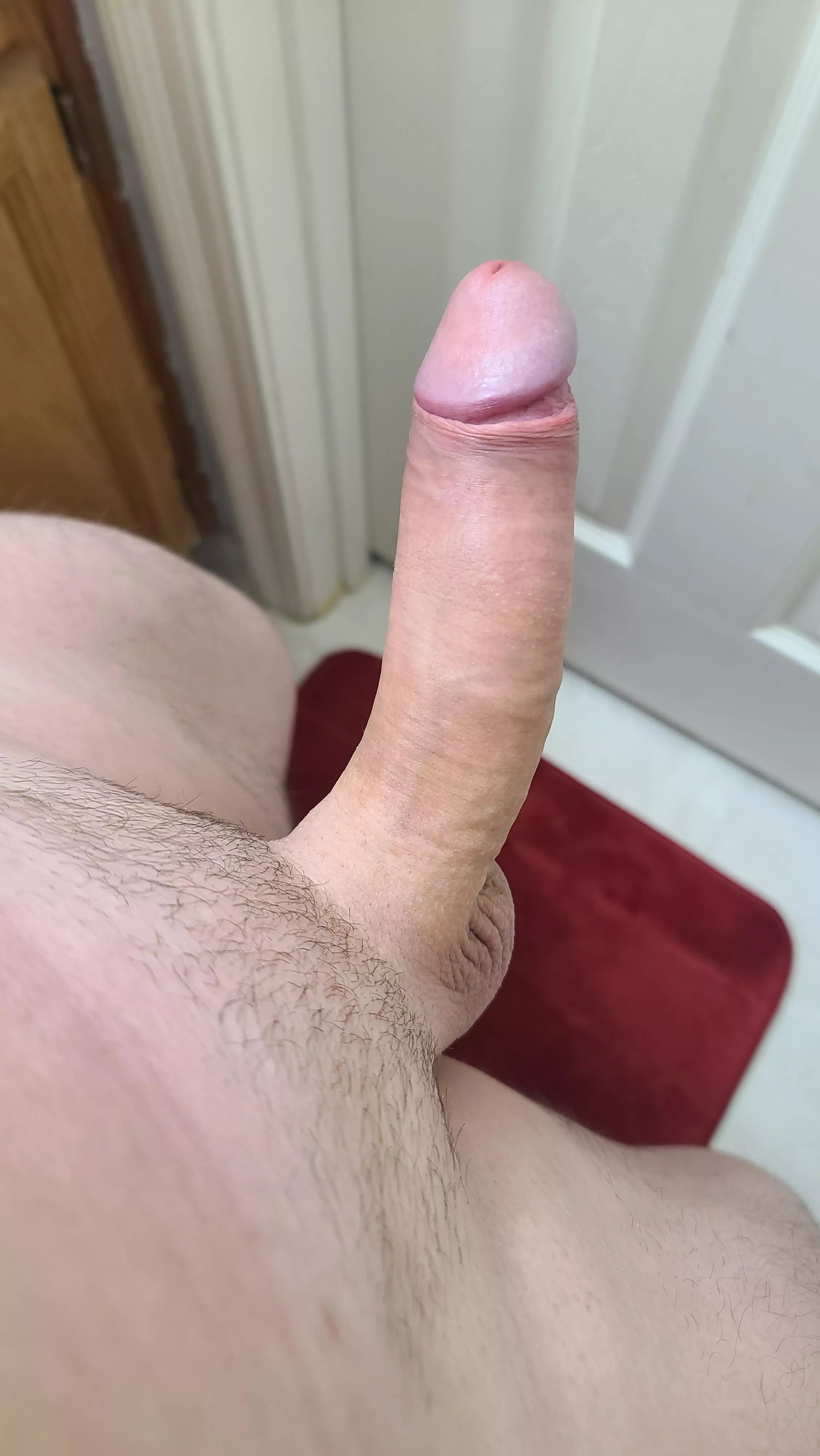 What would you do with this cock? (M24)