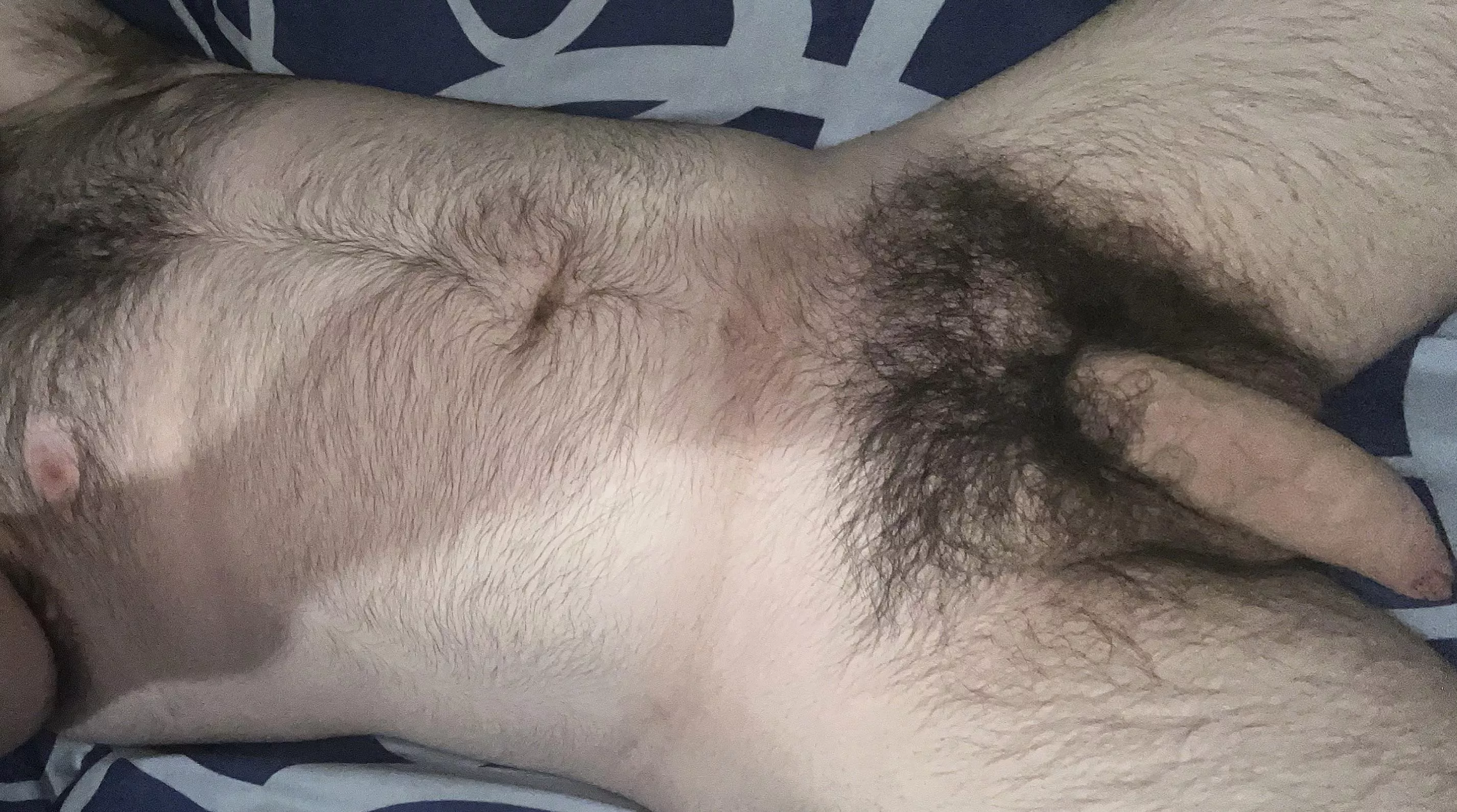 Whatâ€™s up boys? Wanna suck this hairy cock?