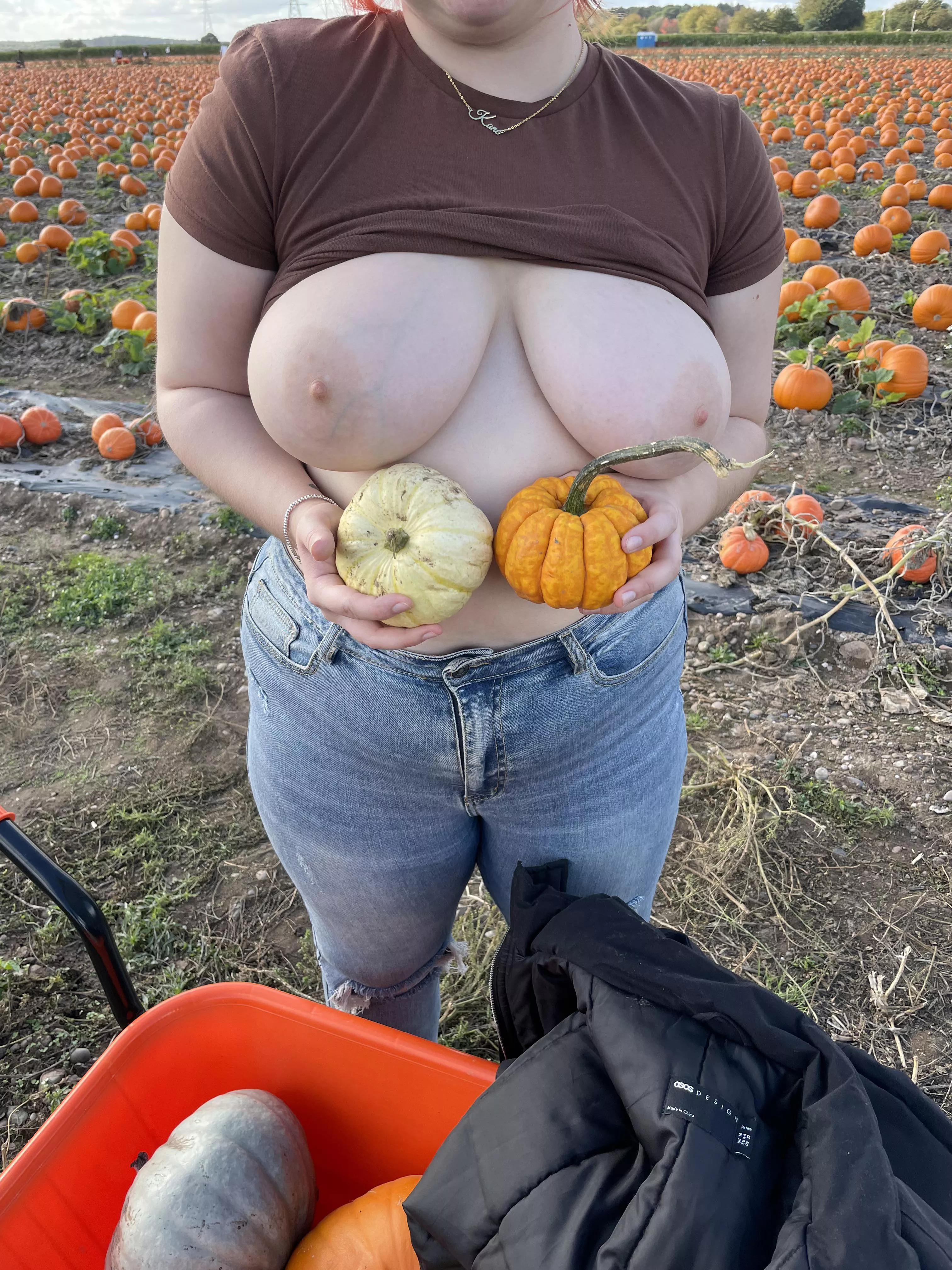 Which is your favourite pumpkin?