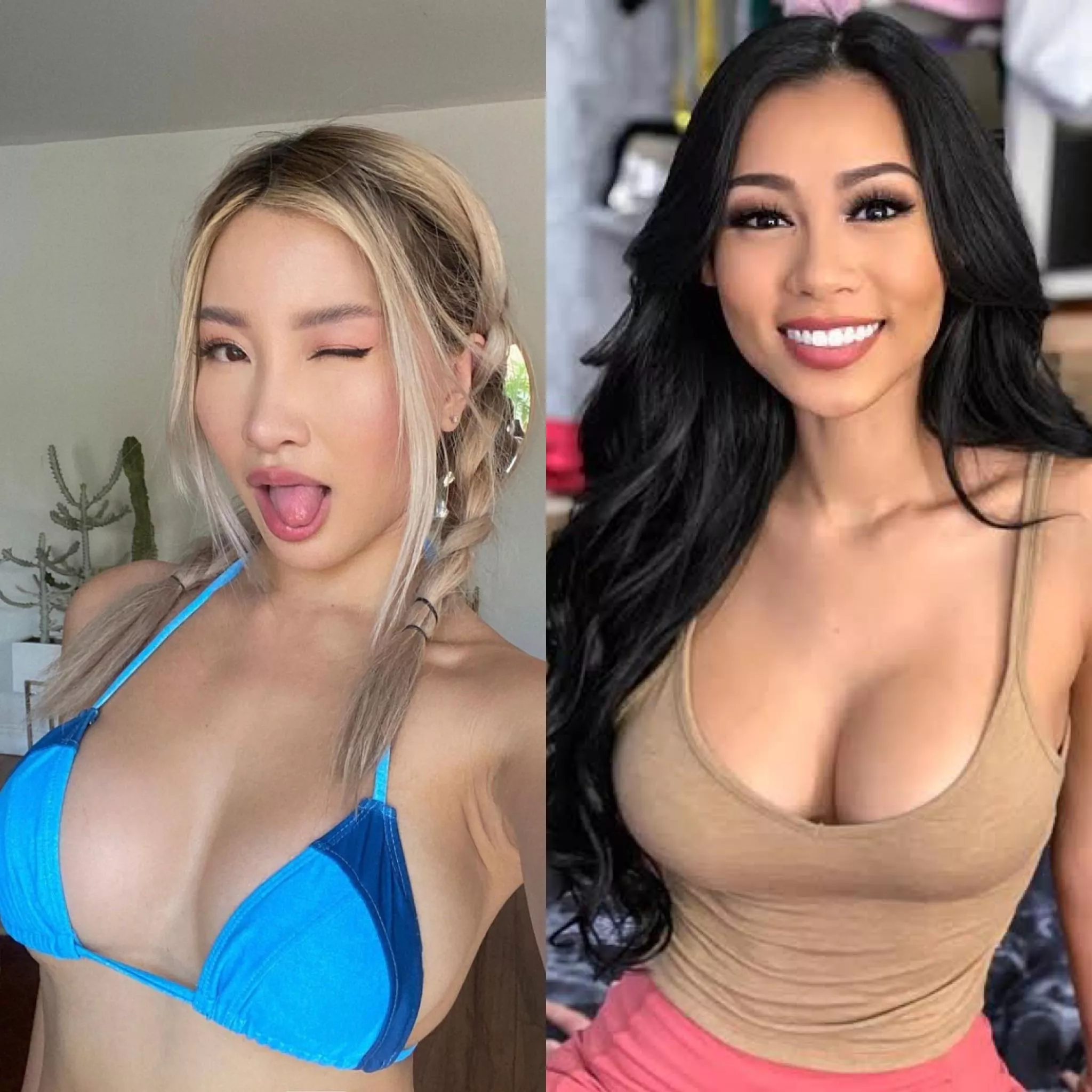 Which one deserves a tittyfucking? Left or right?