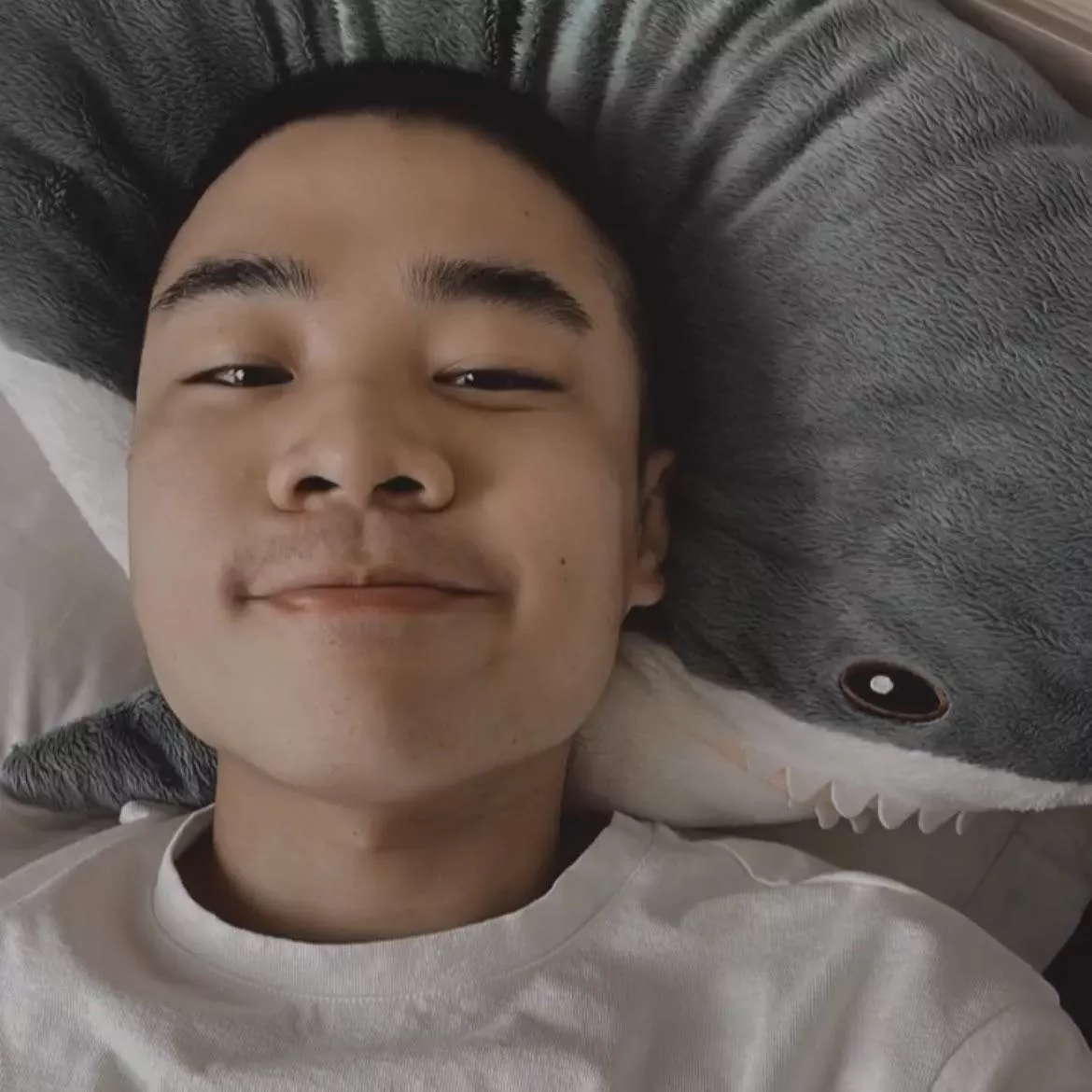 Who also loves to spend their Sunday in bed? ðŸ¦ˆðŸ’¤