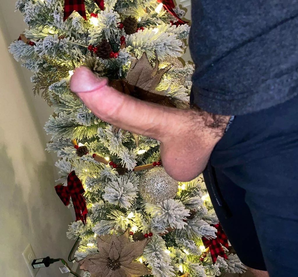 Who else’s Christmas tree is up already?