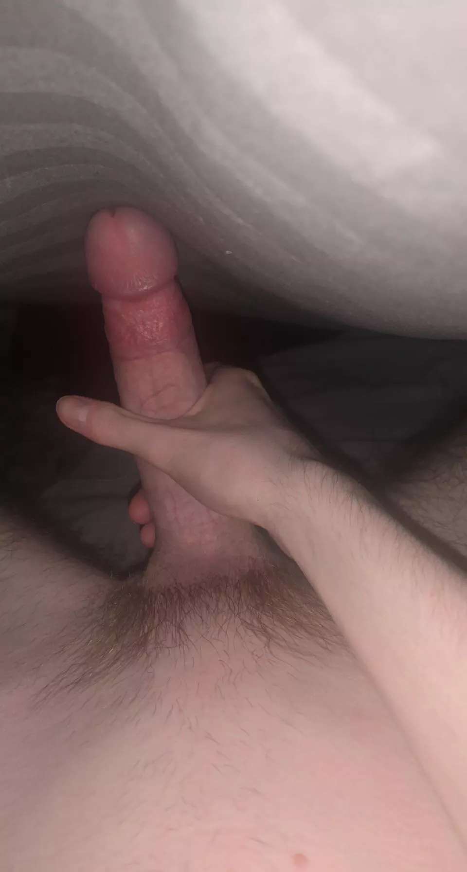 who wants to come under the covers with my 18 year old cock?