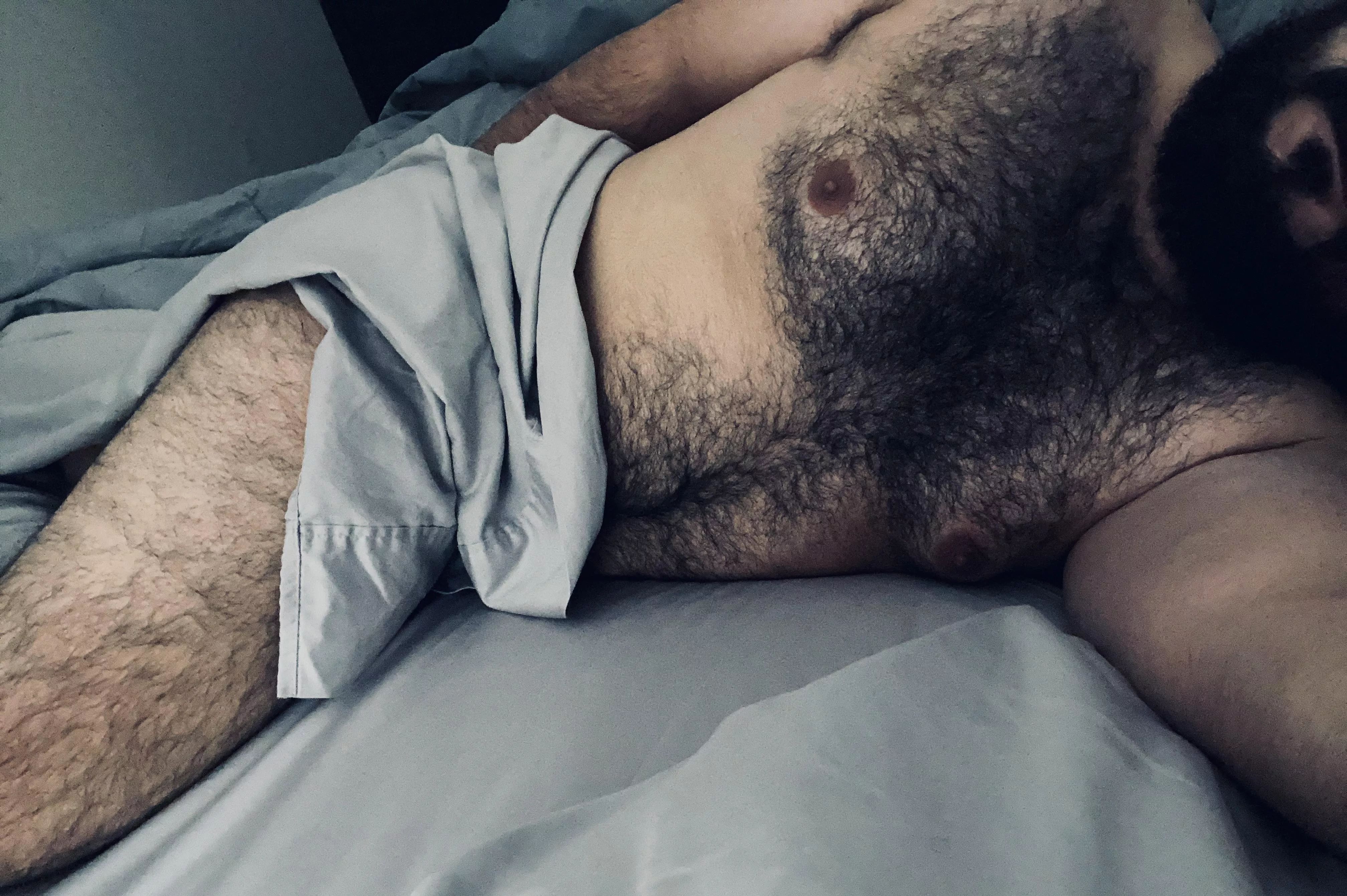 Who wants to cuddle?