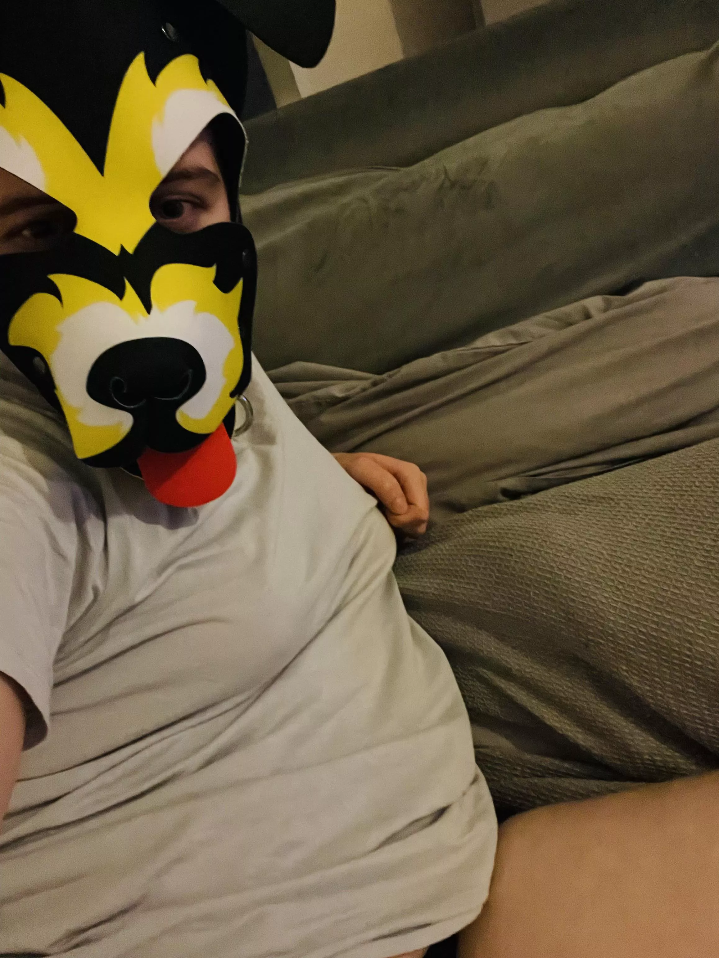 Who wants to give this pup some belly rubs?