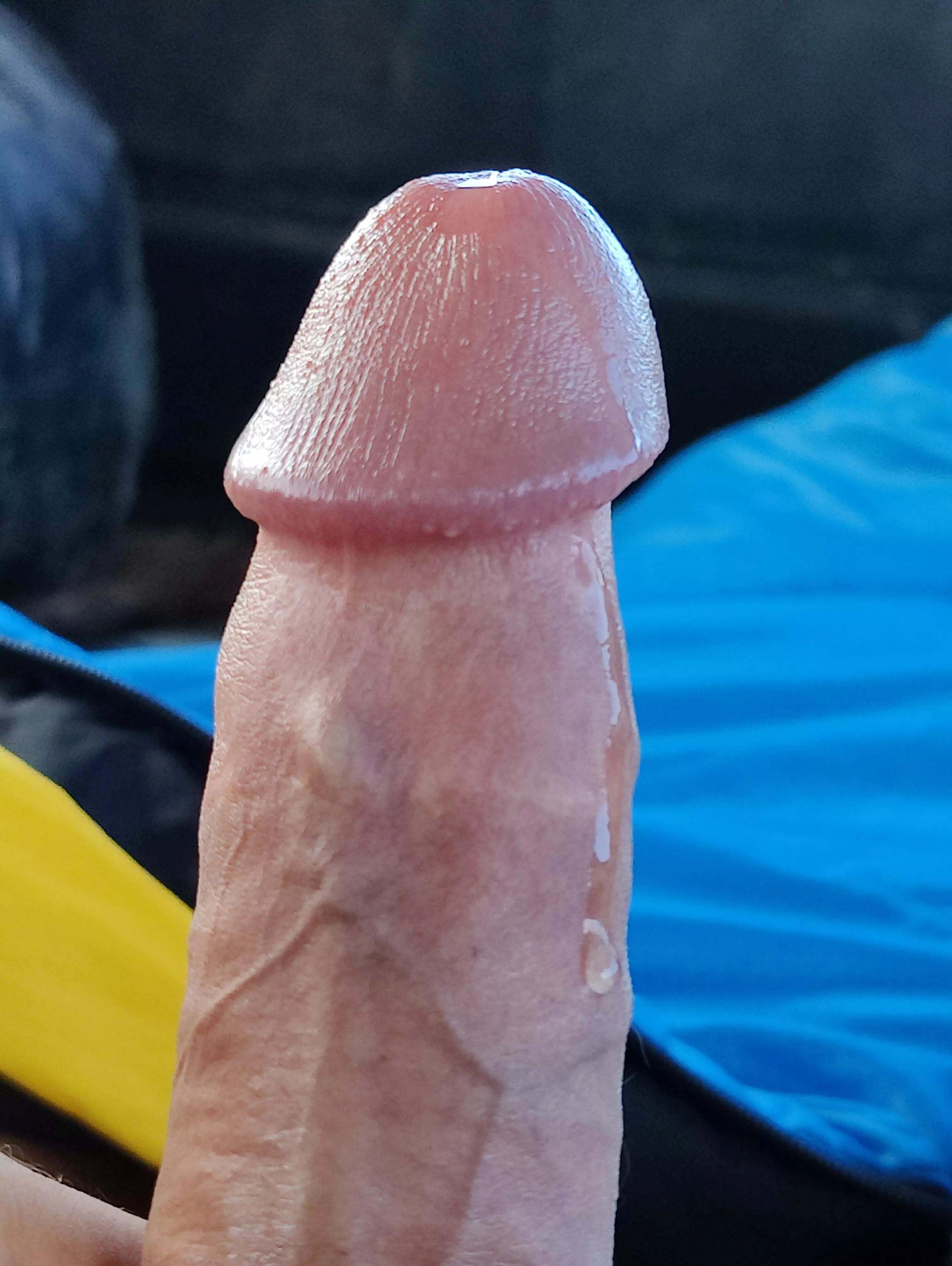 Who wants to lick it up?