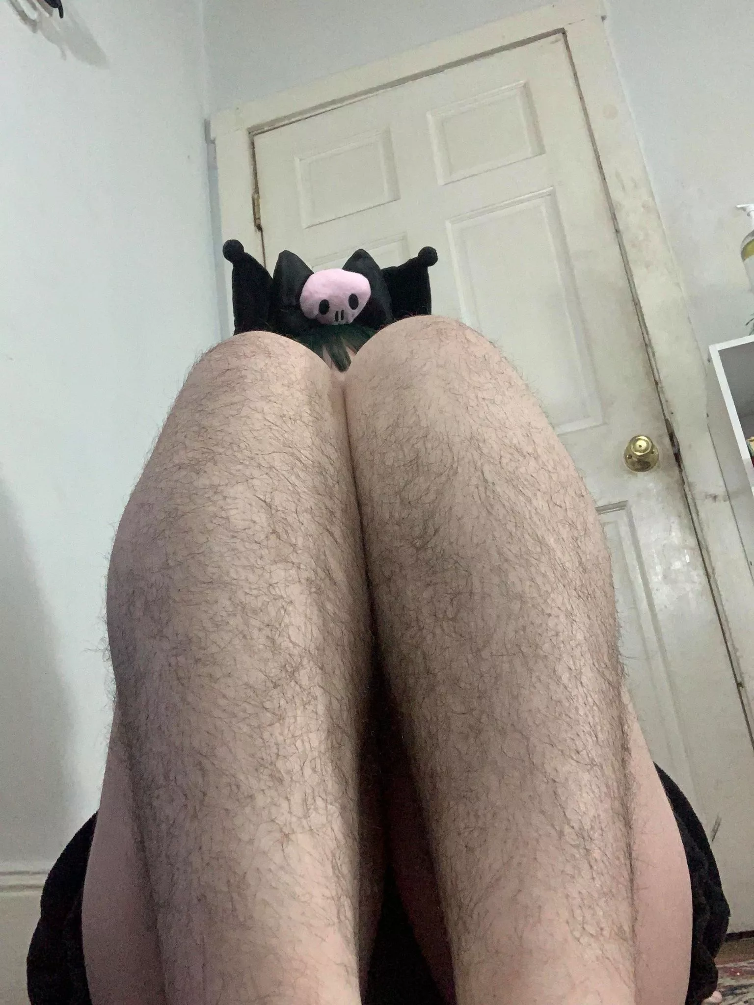 Who wants to pet my hairy legs?