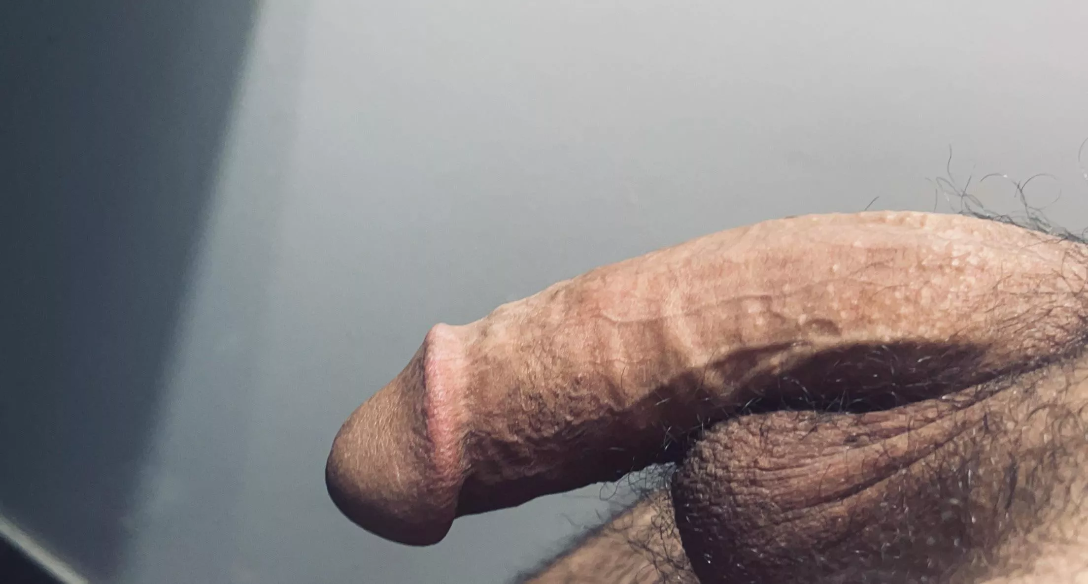 Who wants to ride it? (m)