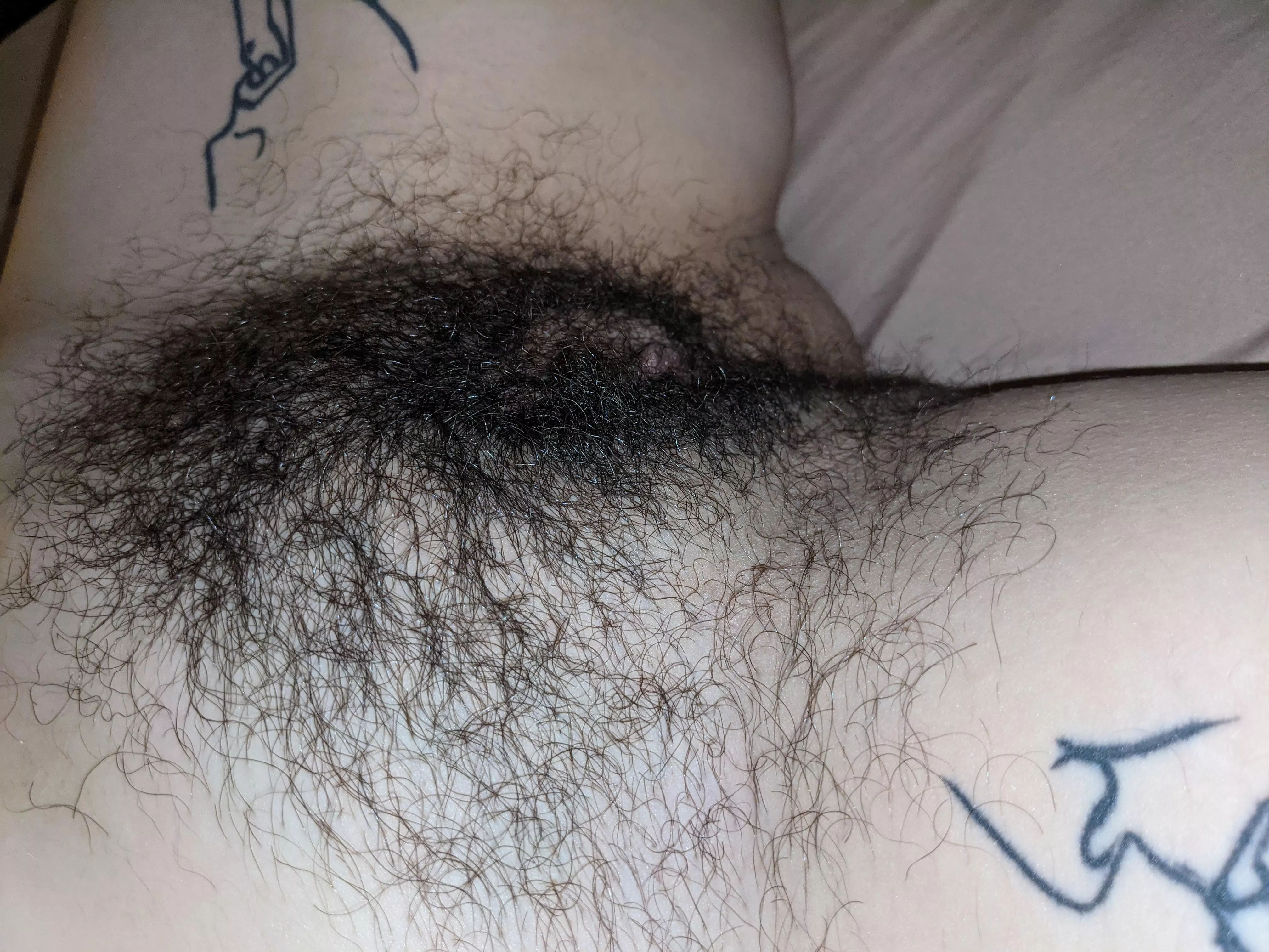 Who's hungry for my hairy pussy? [Oc]