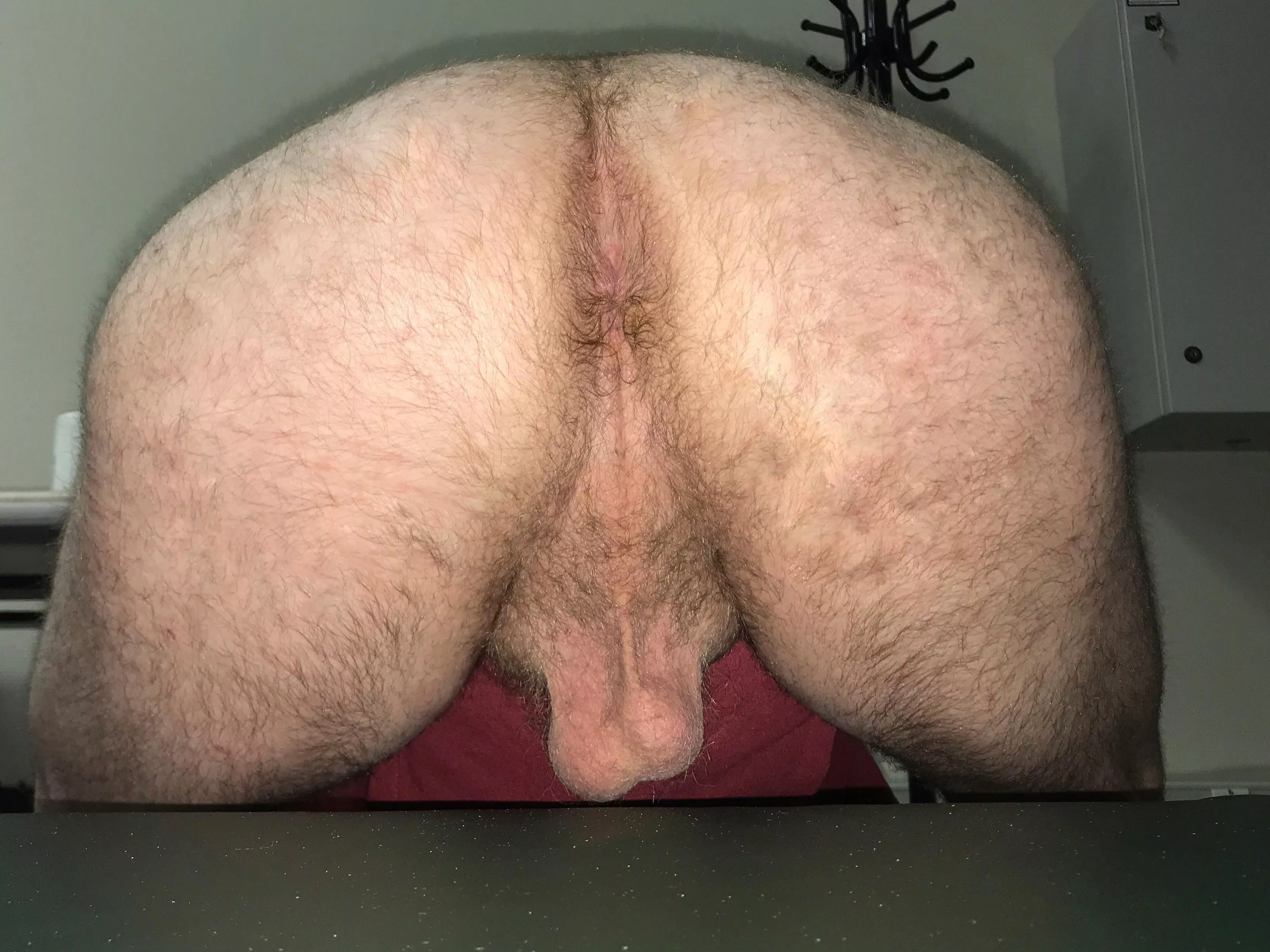 Why don’t you use that sexy hairy butt?!