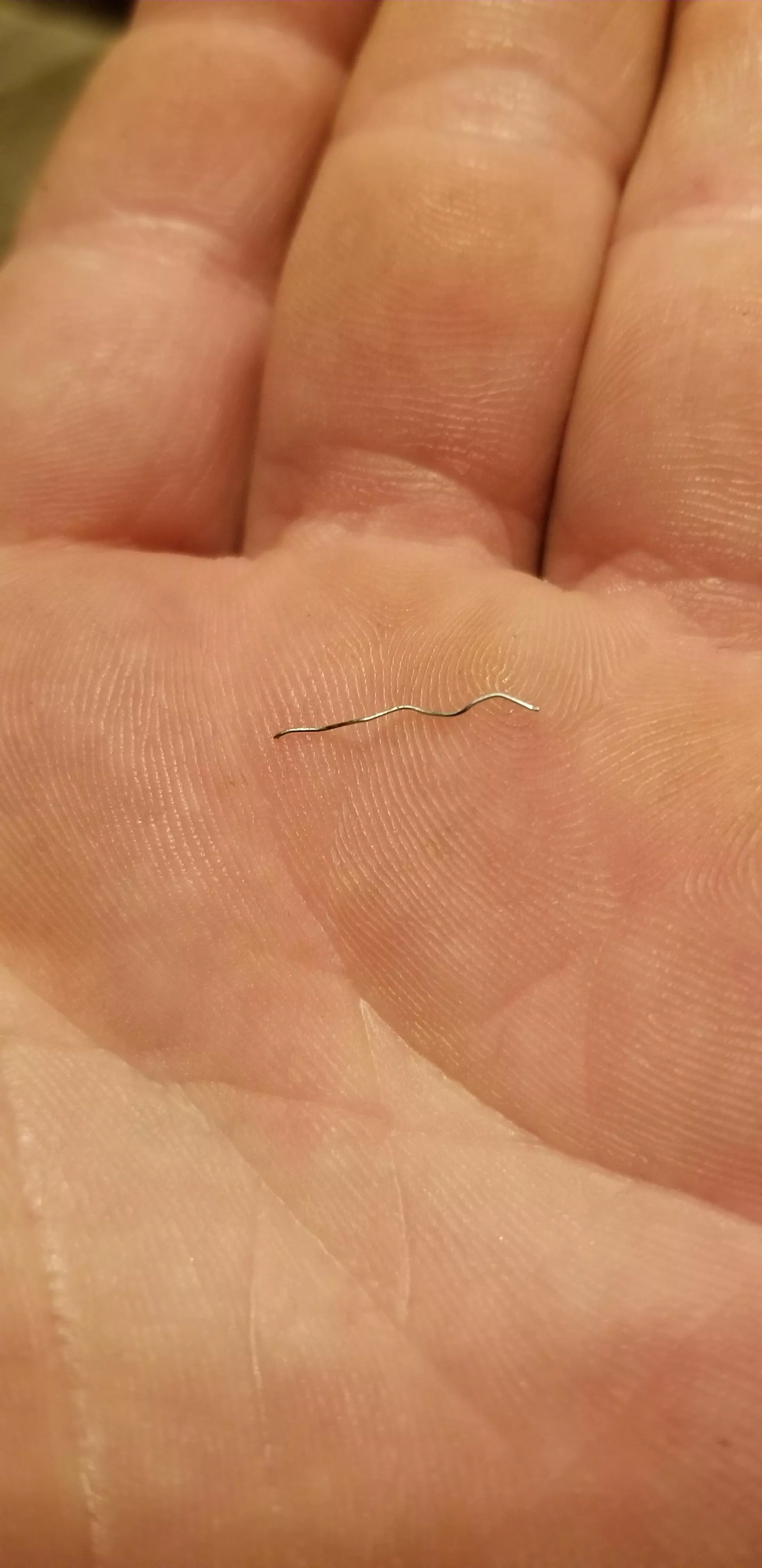 Wife pulled this out of my damn armpit. No idea how long it's been there. I just noticed a tiny pinch in my armpit and thought it was just a small splinter. Wish I would have been recording.