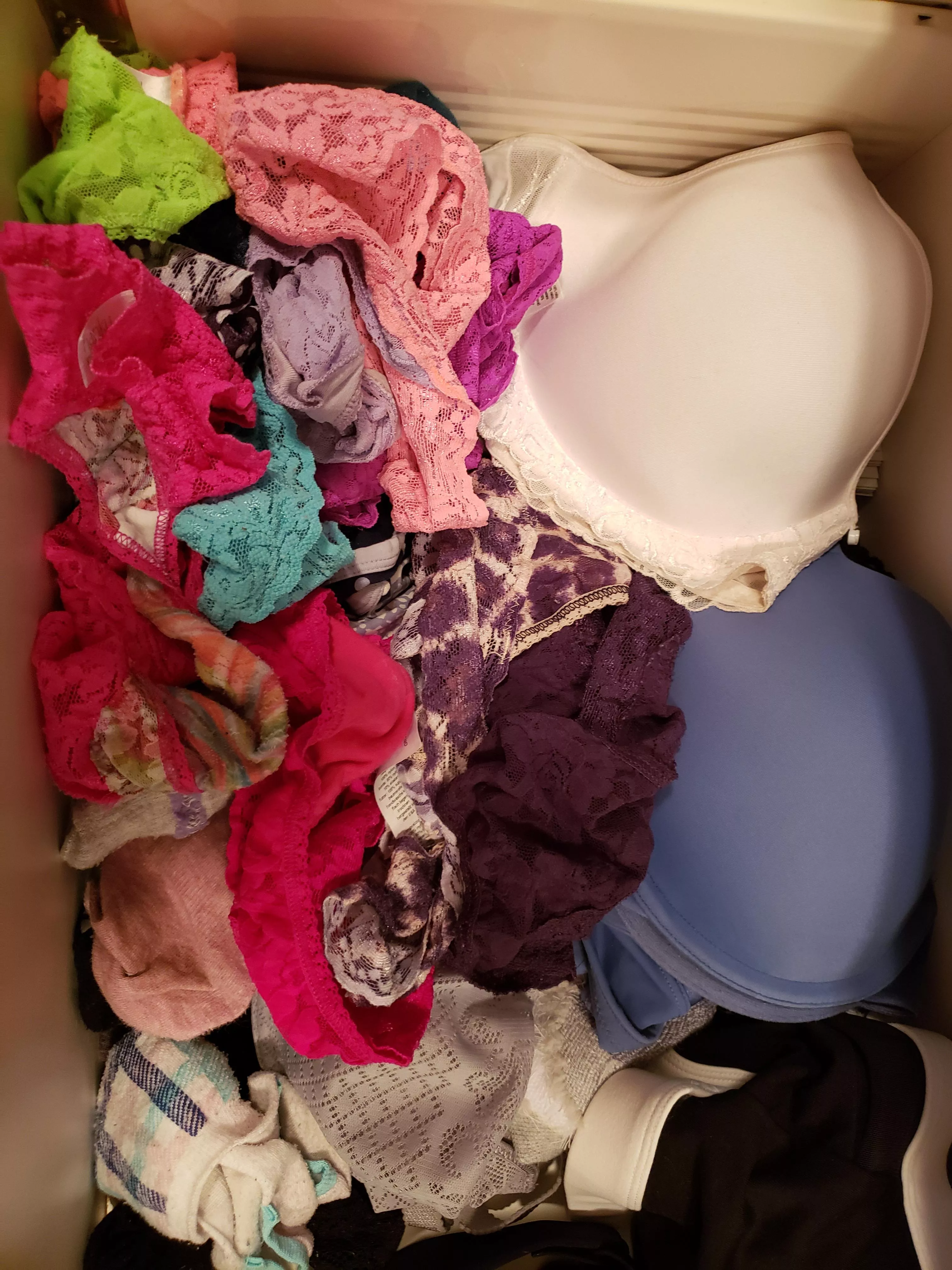 Wife's panty drawer