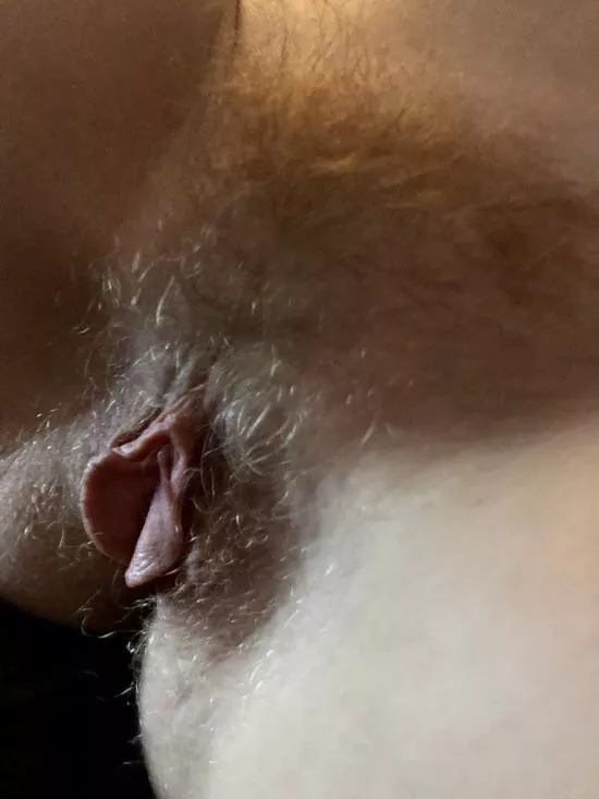 Wife’s very Wild Furry Blonde Pussy and wide open Big Meaty Labia.