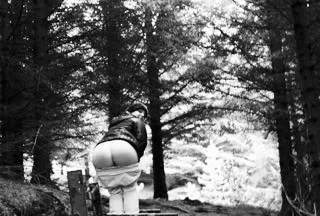 wild forest butt