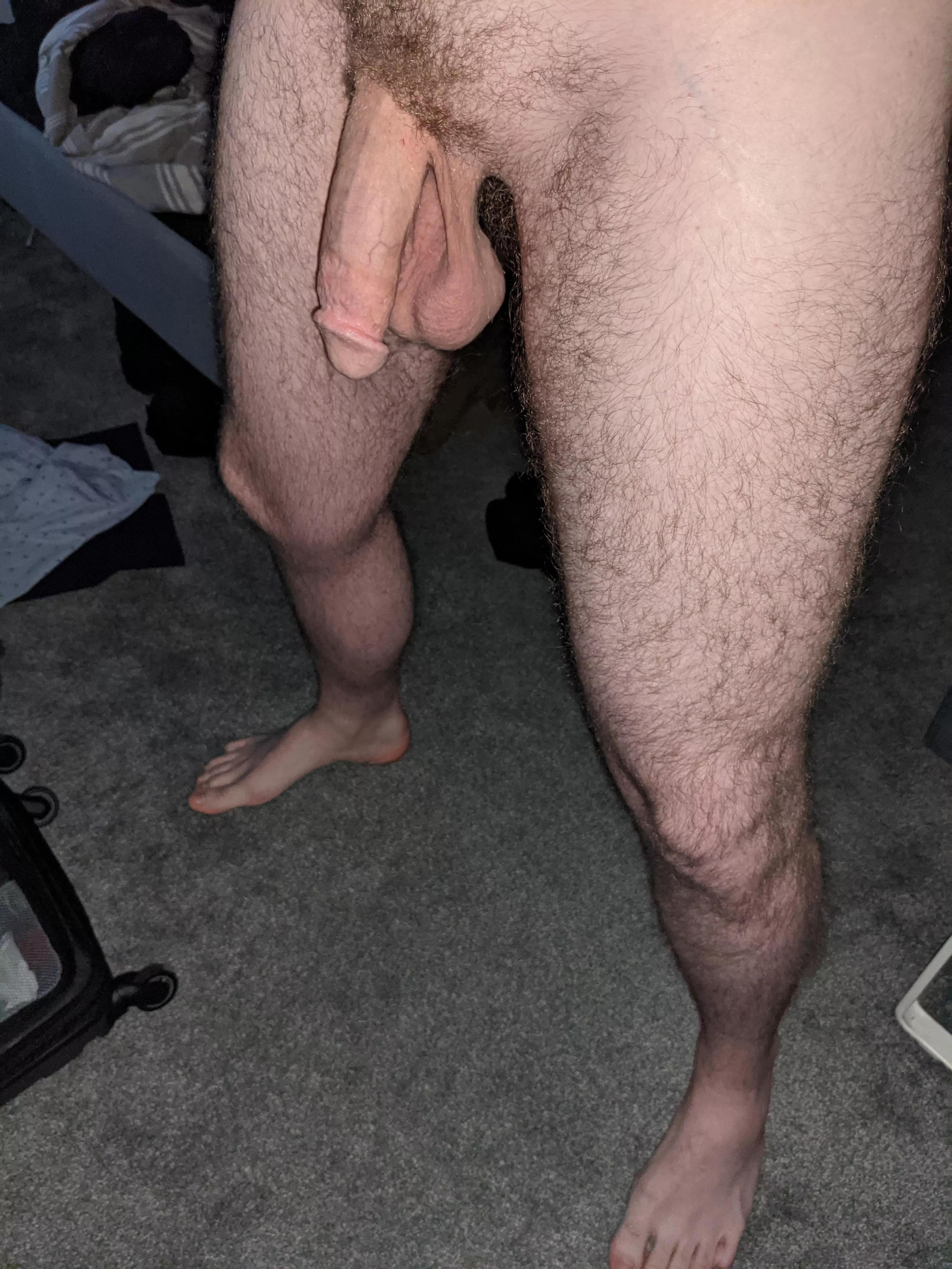 Woke up to use the bathroom and felt a thud against my thigh. Quick pic.