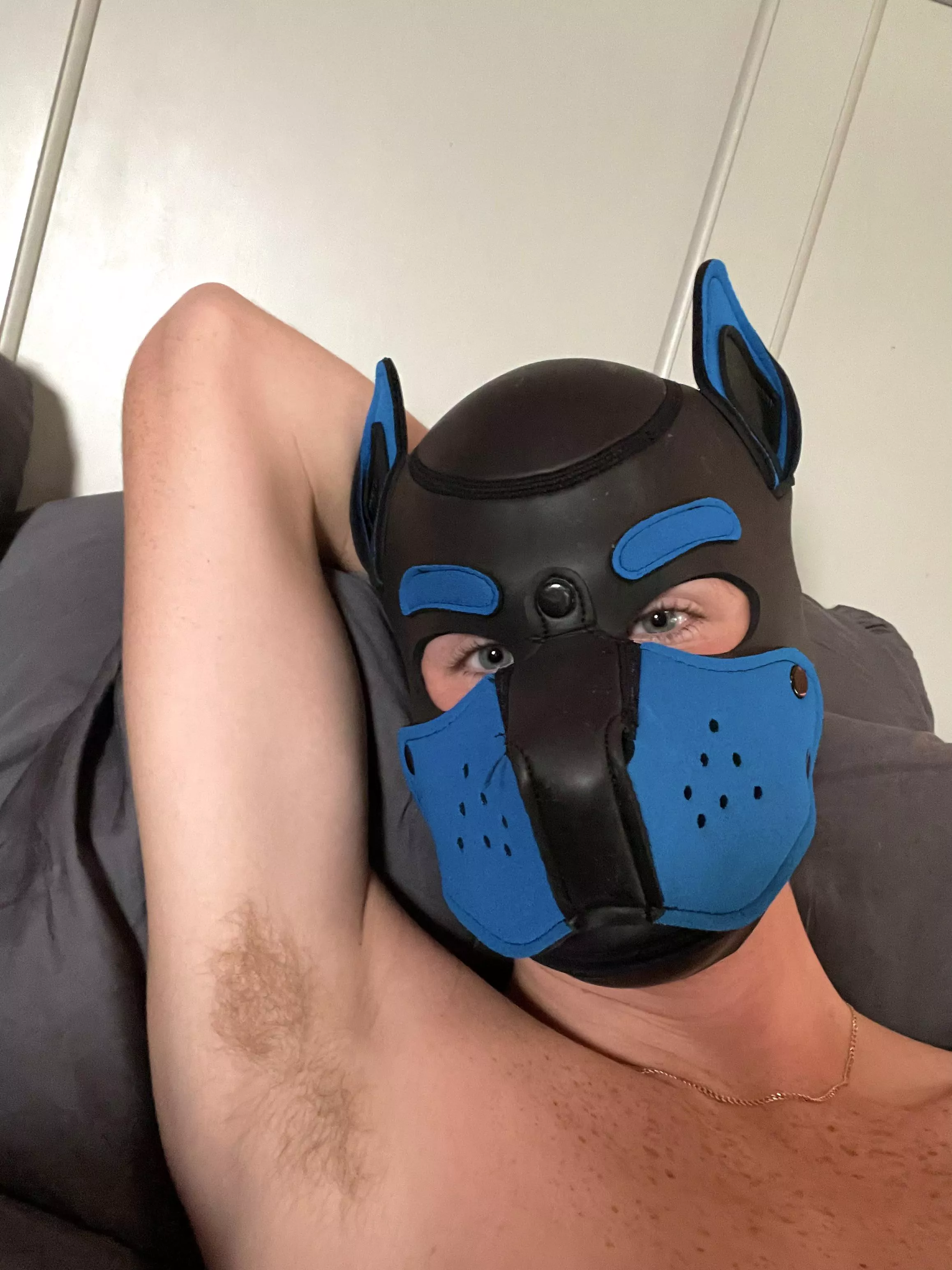 Woof! Any love for pup pits?