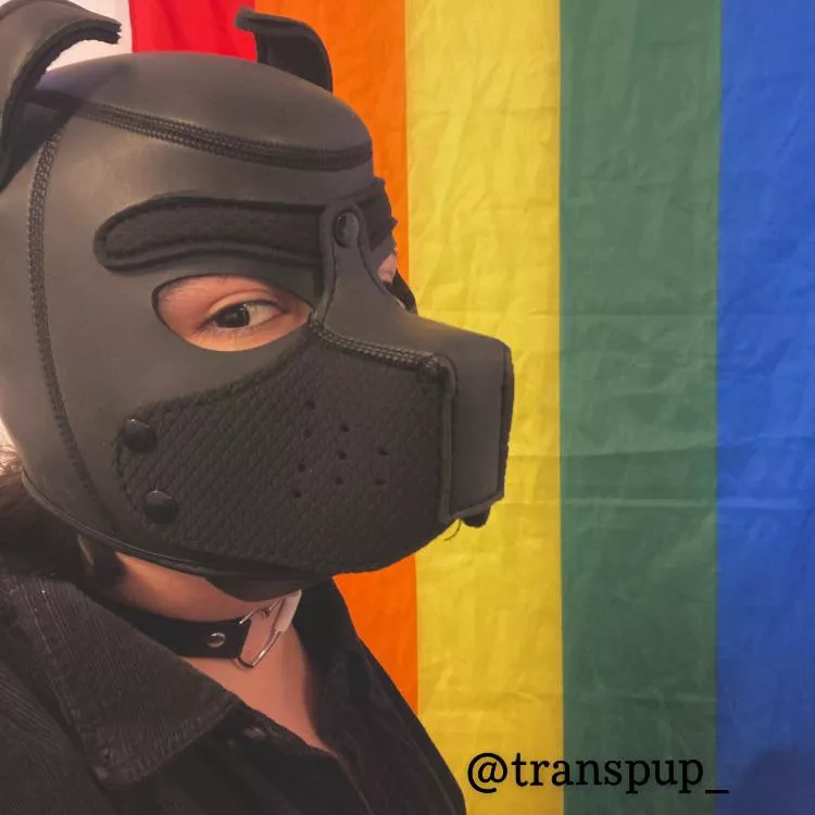 woof ~ [he/they] ðŸ–¤