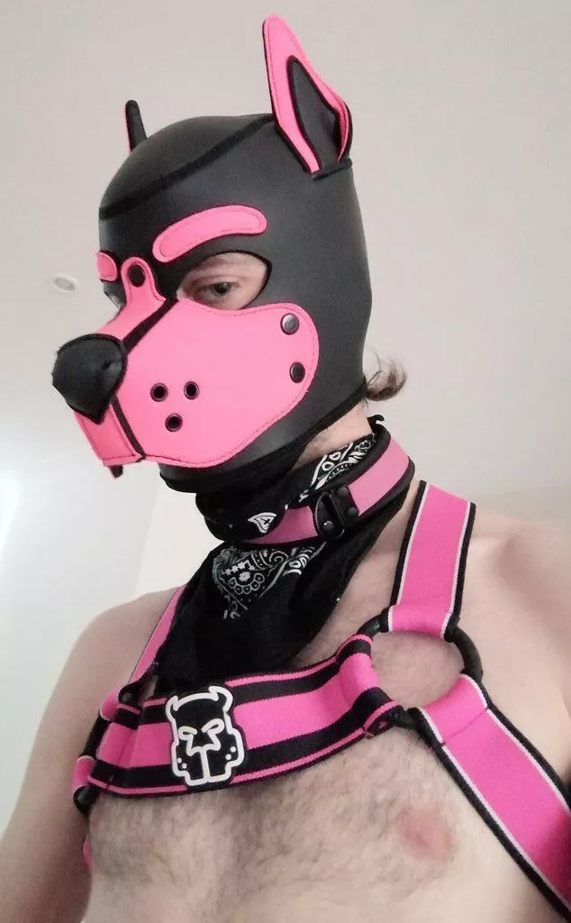 Woof~ ðŸ¾