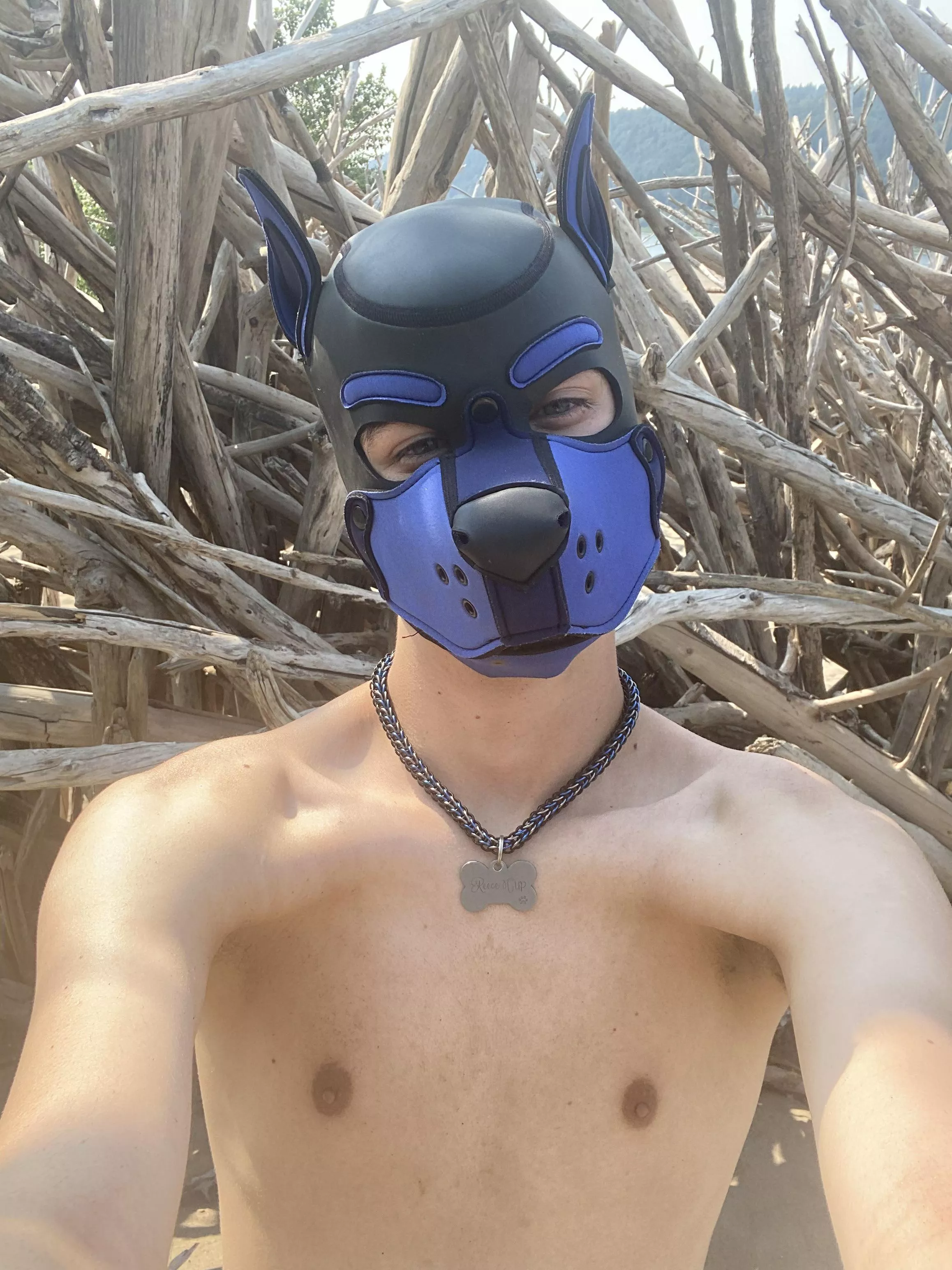 Woof! Who wants to fetch a stick with me?