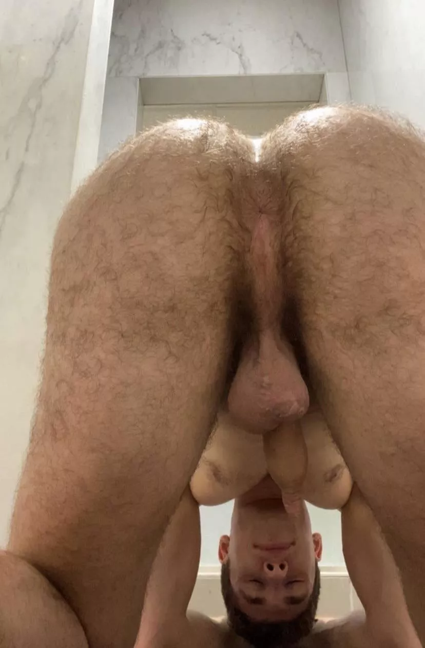 Would you breed this hairy hole?