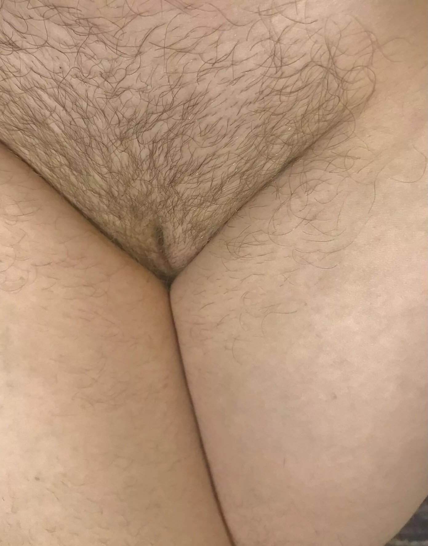 Would you cum on my hairy pussy?