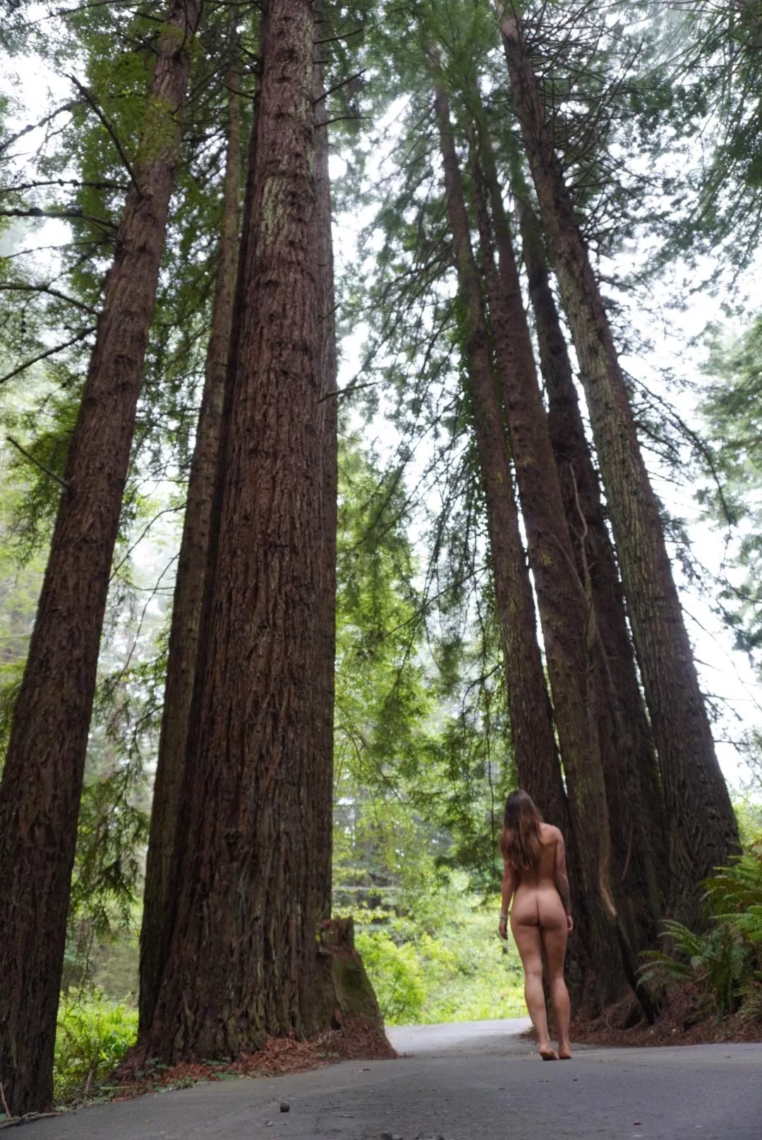 would you fuck me in these redwoods? 🧚🏽‍♀️😘