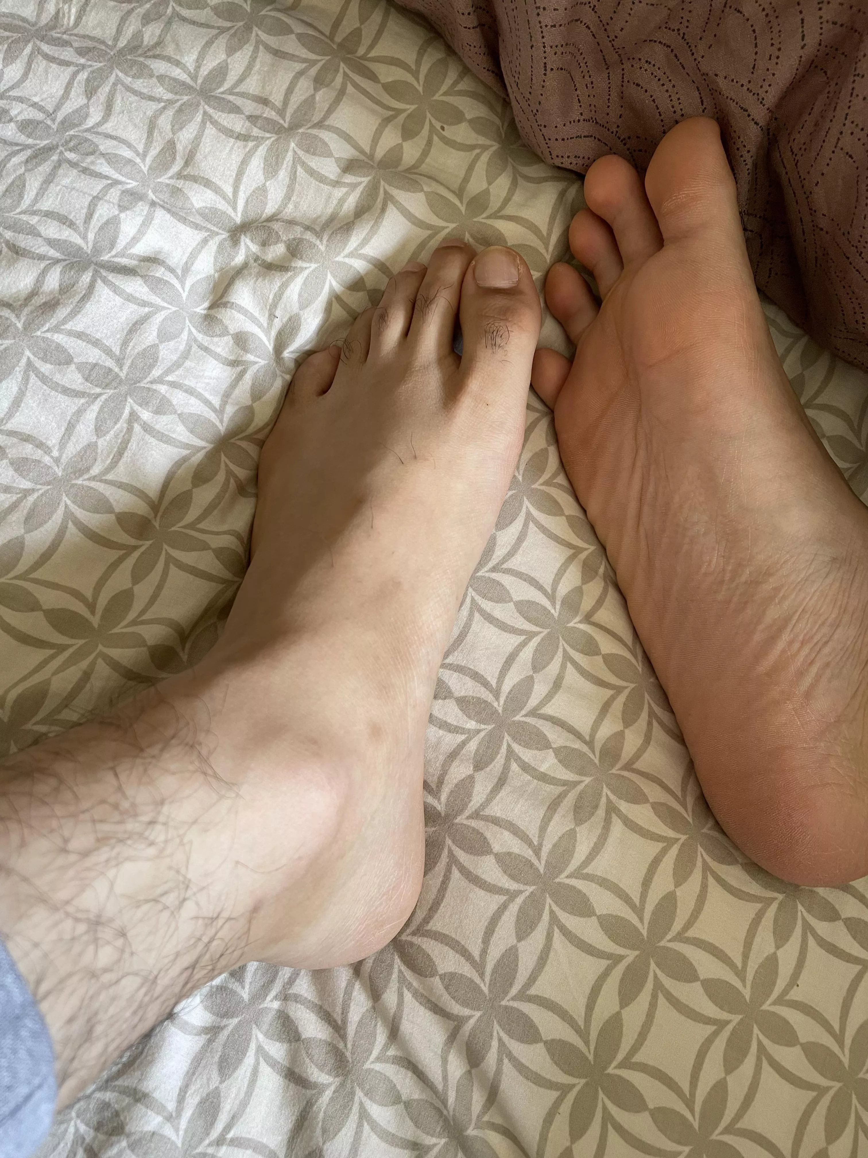 Would you rather; suck one toe or take my whole foot in your mouth?