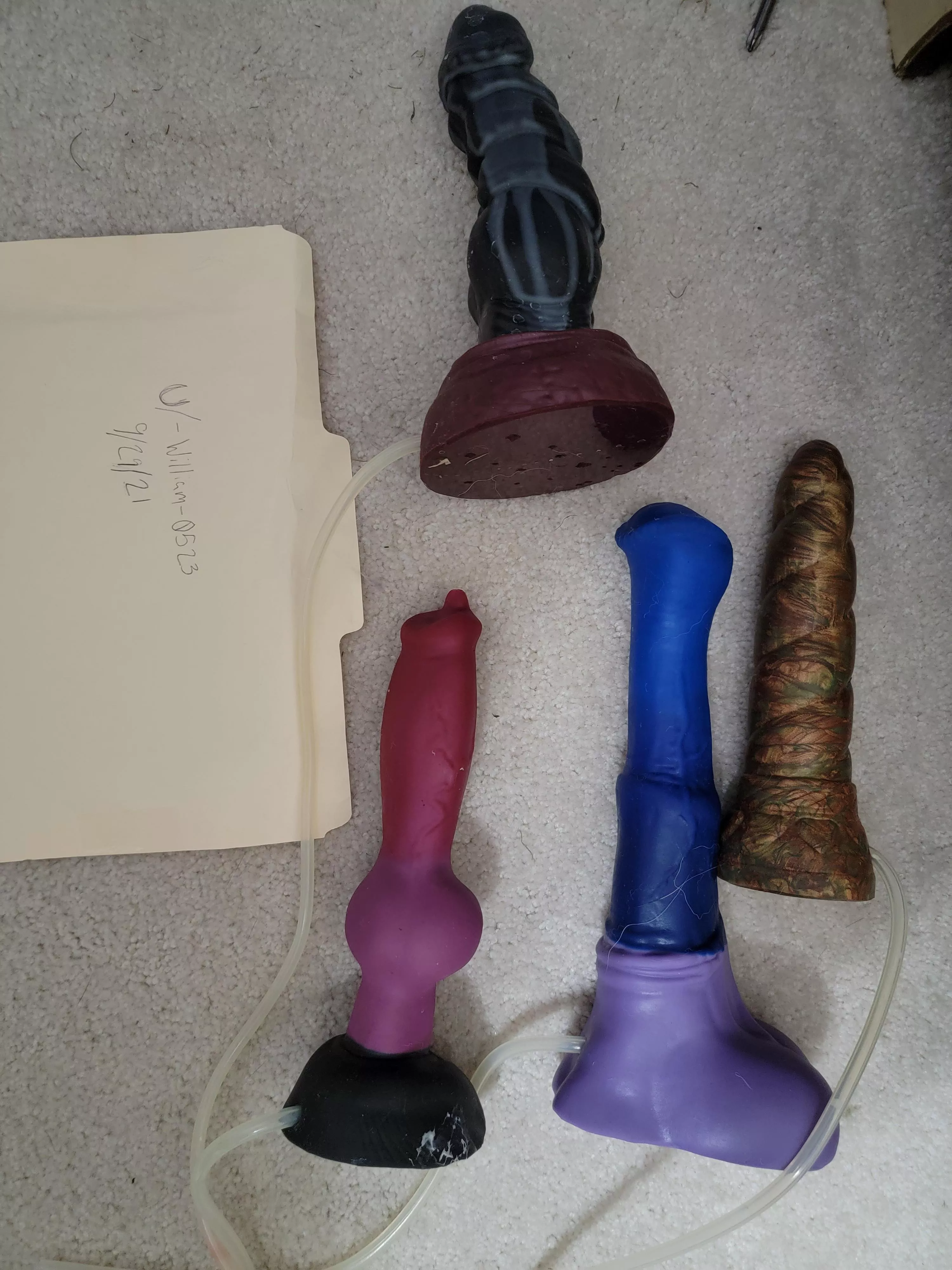 (WTS) Chance (M/M), Nova (M/M), Rex (M/M), Mystic (M/M). OBO!!! Will boil before shipping.