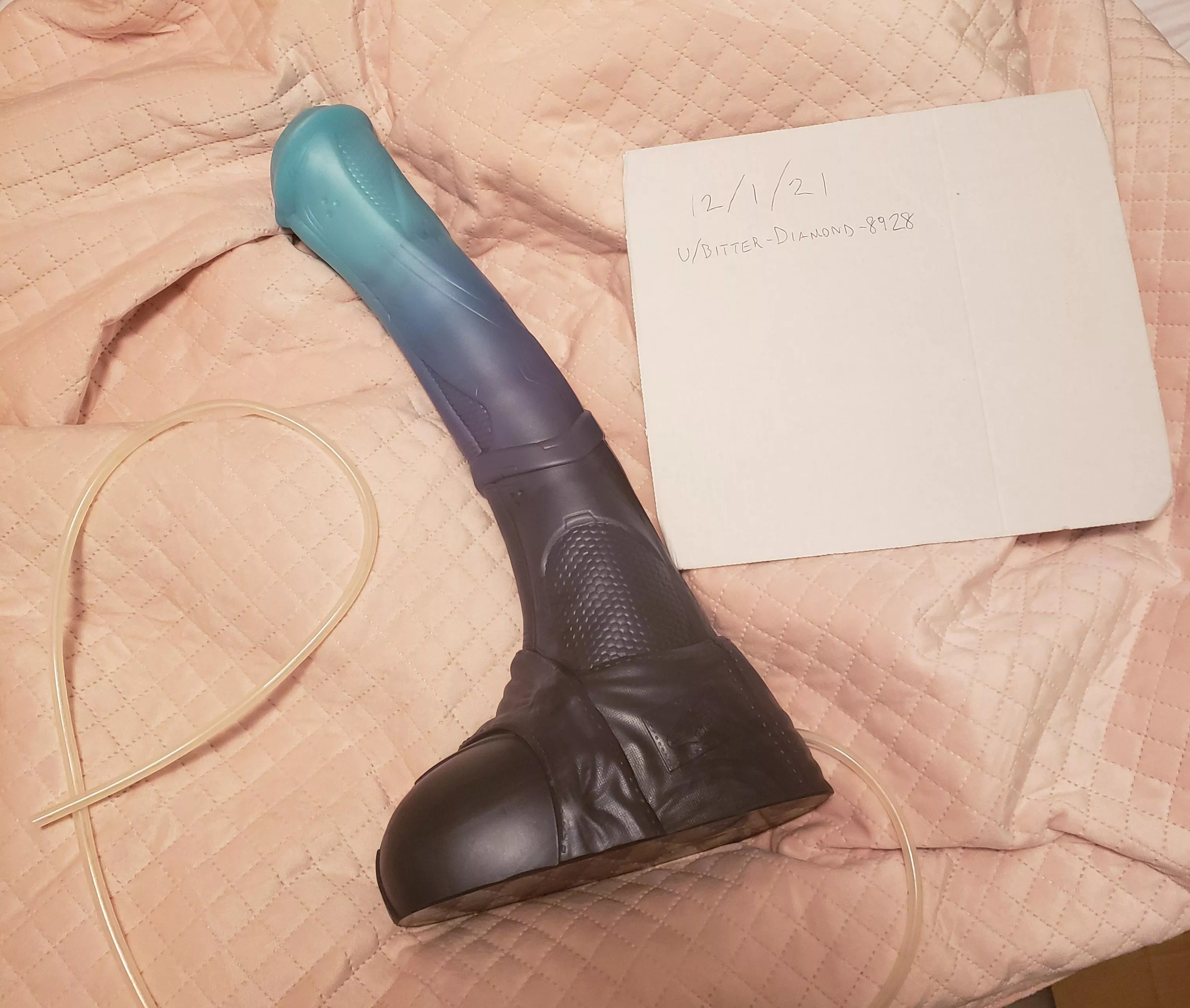 WTS XL/S Vector [US]