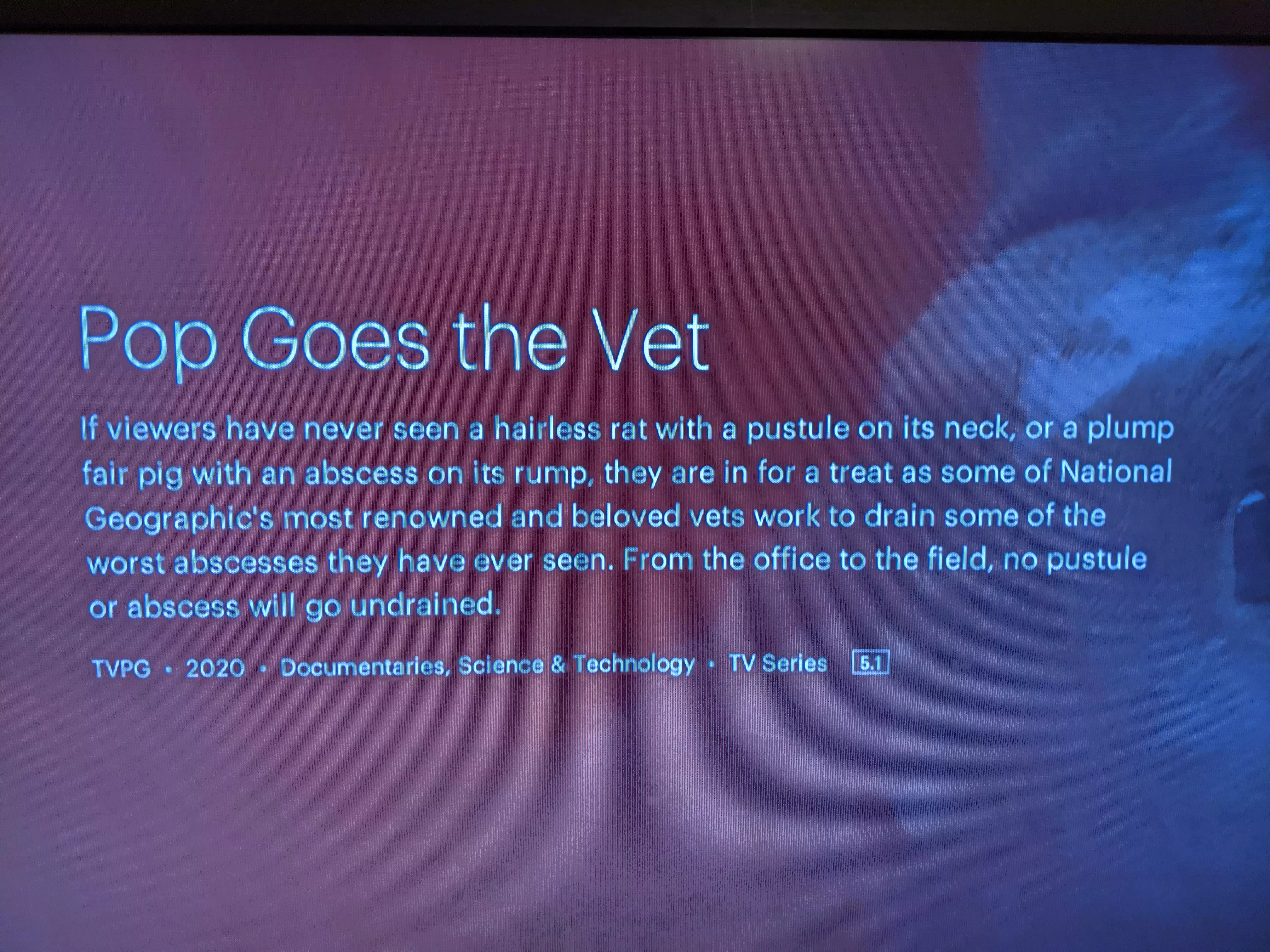 y'all there's a whole docuseries on Hulu about animal abscess drainage - anyone seen it yet?