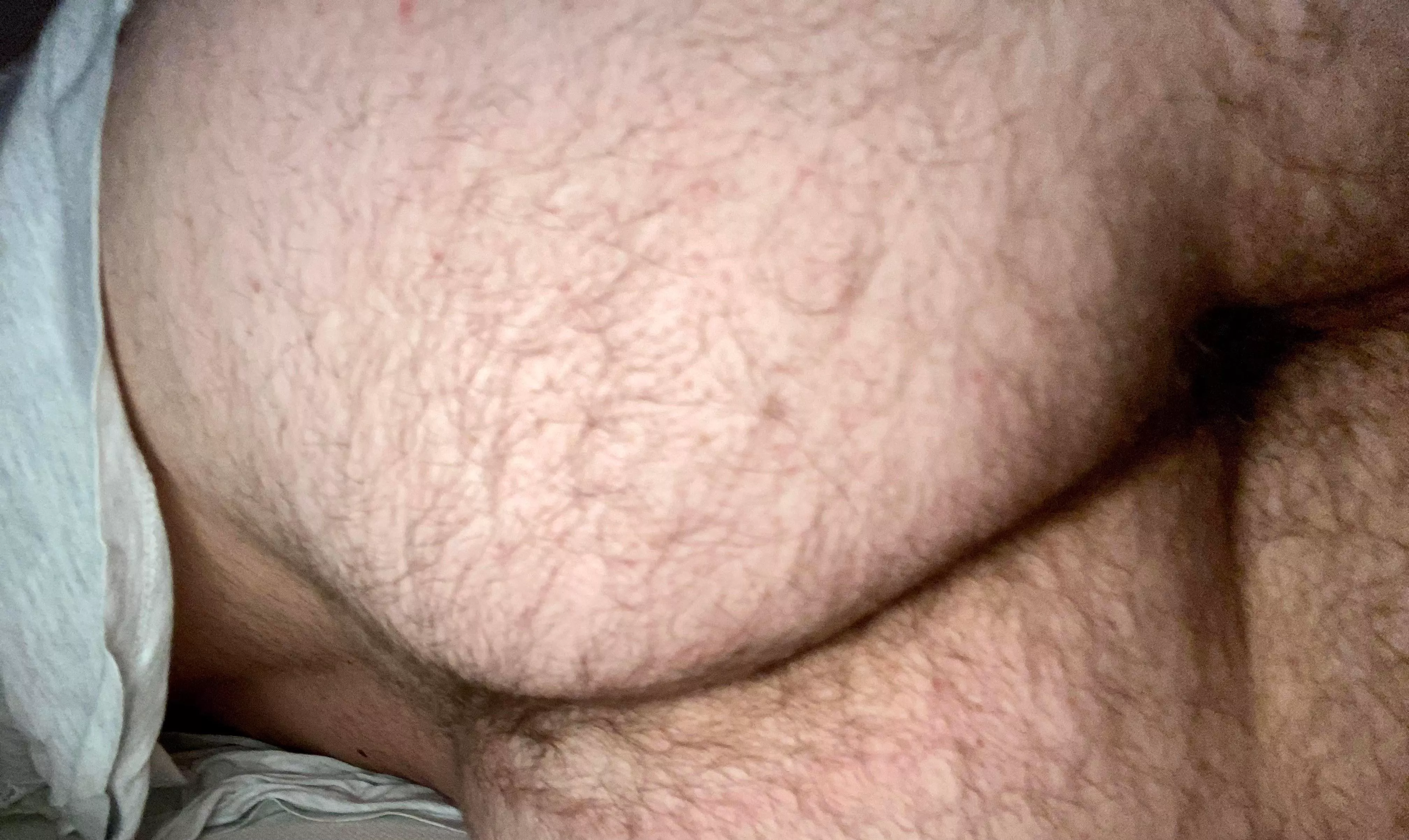 You like my hairy ass?