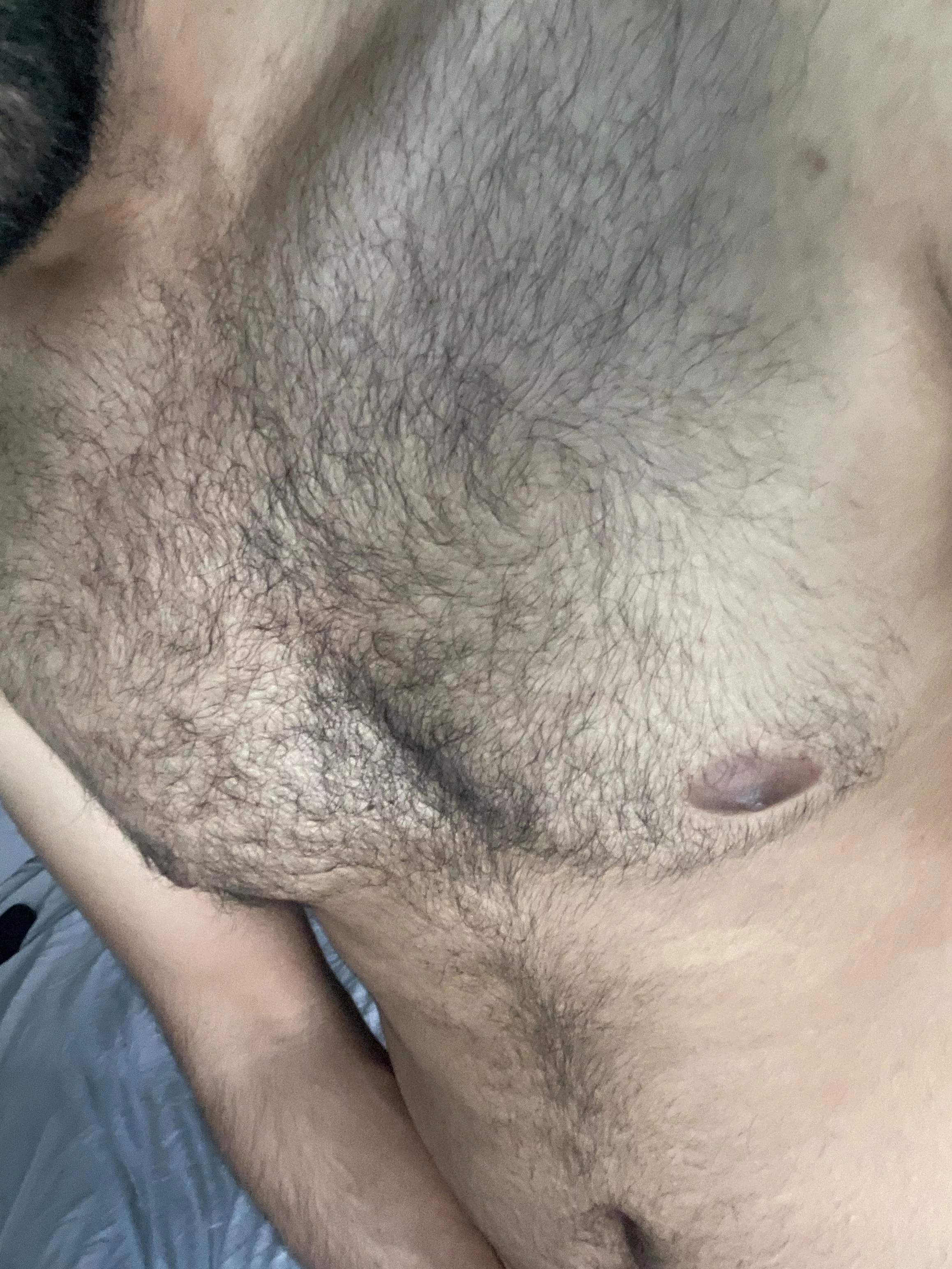 Young hairy chest