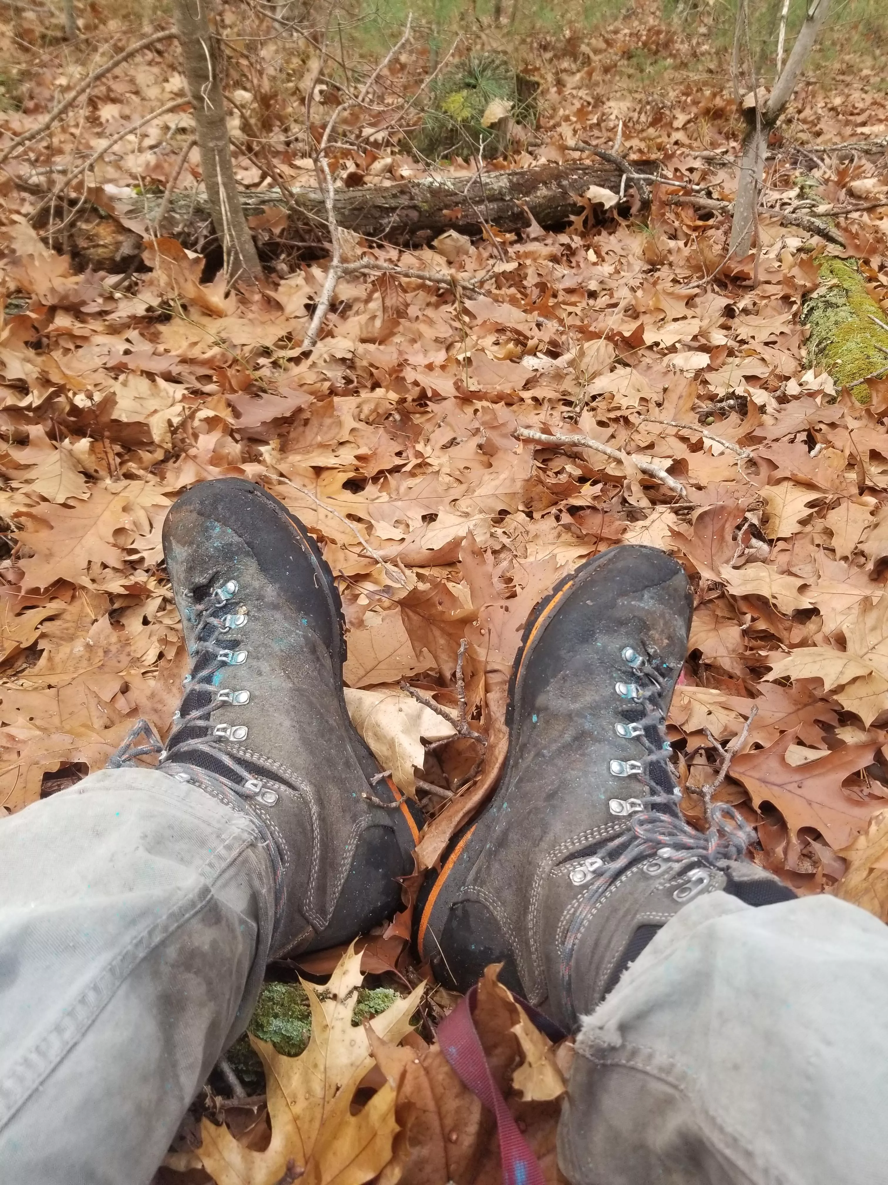 Zamberlan Baltoro lites: one new set of tread and over 2000 miles of hiking in the year I've owned them. Should get another year out of them no problem. As a forester and a avid hiker I really put boots through hell and these have my stamp of approval.